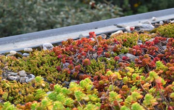 the cost of Gifford green roof installation