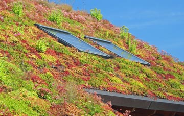 Gifford living roof systems