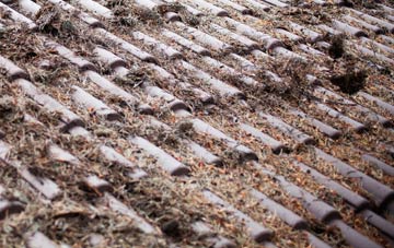 Gifford roof cleaning companies