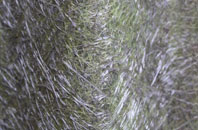 Gifford fibreglass roof work